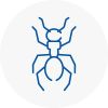 Ant Removals In Portsmouth
