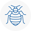 Bed Bug Extermination In Portsmouth