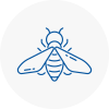 Bee Nest Removal Portsmouth
