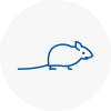 Mice Exterminators In Portsmouth