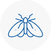 Moth Control Specialists In Portsmouth