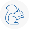 Portsmouth Rodent Removals