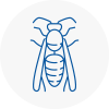 Portsmouth Wasp Nest Removal